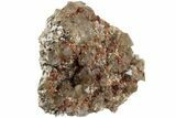 Spessartine Garnets With Smoky Quartz On Feldspar - China #238162-1